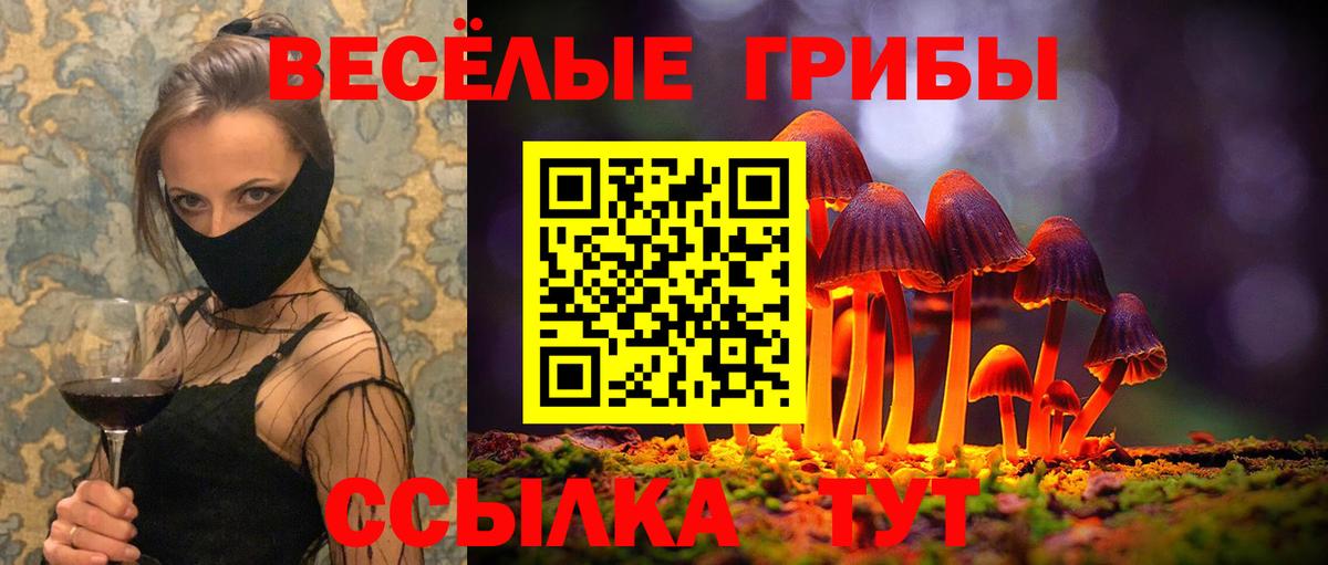 Псилоцибиновые грибы мицелий  Вход с VPN  Гудермес 